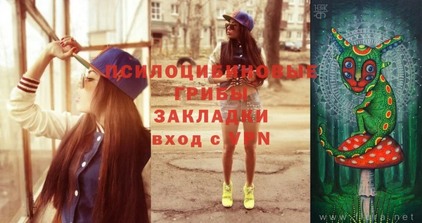 героин Горняк