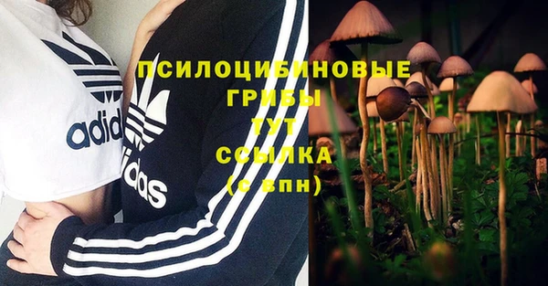 первитин Горнозаводск