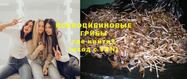 героин Горняк