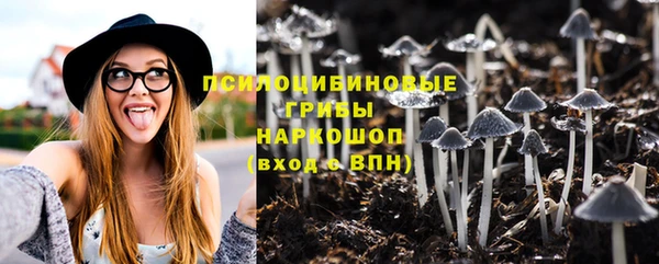 первитин Горнозаводск