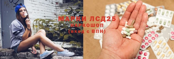 гашик Володарск